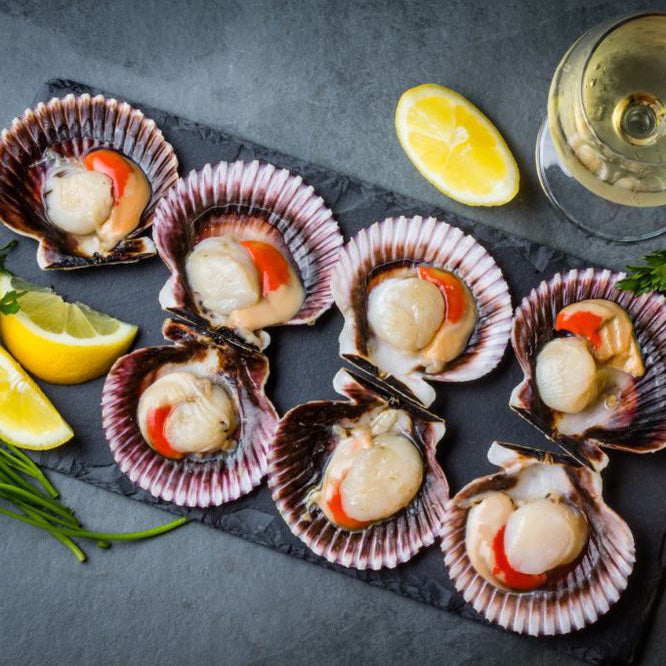 Ostiones Media Concha Bandeja 8 u